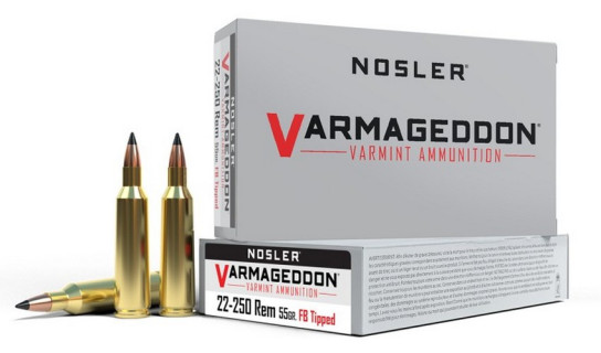 Nosler 20 cartouches VGA-22-250 Rem 55g VG FBT