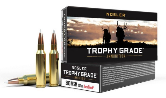 Nosler 20 cartouches MGA-300 Win Mag 180g Accubond