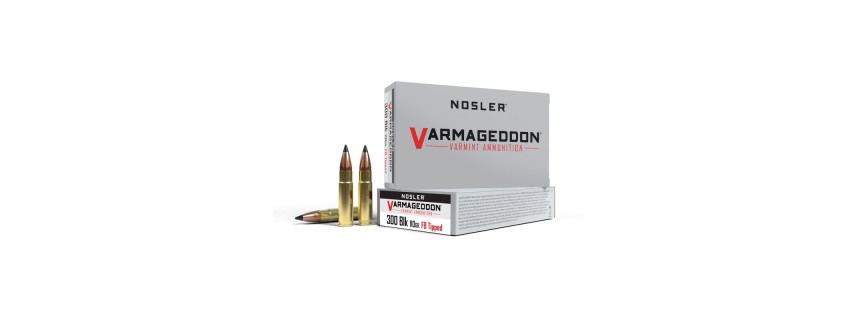 Nosler 20 cartouches VGA-300 BLK 110 grs FB Tipped Varmageddon
